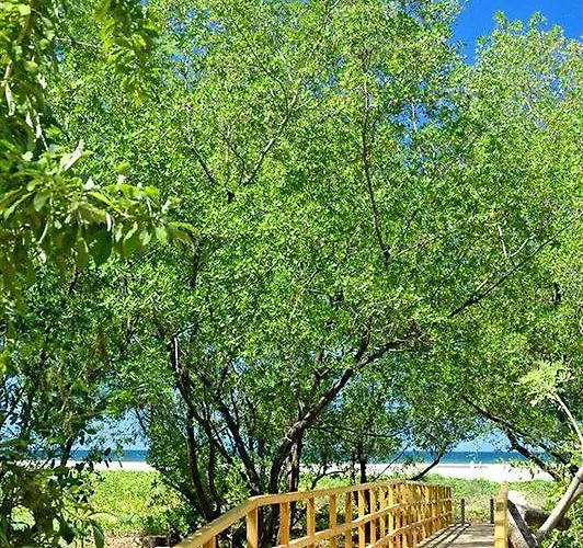 Pueblo Dorado 3* Tamarindo